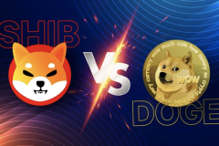 Sự trỗi dậy của Shiba Inu - "Sát thủ Dogecoin"