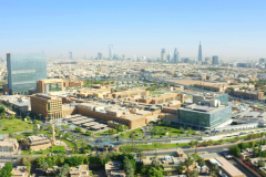 To Bolster Global Efforts in Combating Antibiotic-Resistant Bacteria KFSH&RC Scientists Discover New Bacteria Species: Riyadhensis