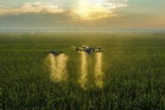 DJI Agras T50 và T25 mở rộng khả năng bảo vệ cây trồng từ không trung
