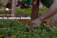 Nhân Ngày Môi trường Thế giới, EZVIZ triển khai dự án trồng rừng toàn cầu, thu hút nông dân tham gia để góp phần tạo ra một chu trình sinh thái tích cực giữa bảo tồn đất đai và phát triển cộng đồng