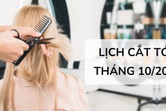 Danh từ là gì? Cụm danh từ là gì? Những ví dụ chi tiết về danh từ