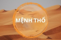 Mệnh Thổ hợp cây gì? 20+ loại cây giúp mệnh Thổ hút tài đón lộc