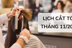 Động từ là gì? Cho một số ví dụ về động từ dễ hiểu nhất