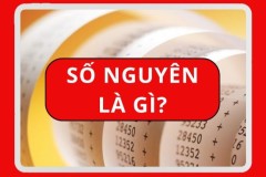 Số nguyên là gì? Đặc điểm, phân loại và ứng dụng trong toán học