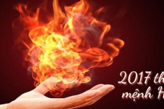 Sinh năm 2008 là năm con gì? Hợp tuổi nào, màu sắc gì?