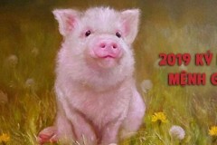 Sinh năm 2015 là năm con gì? Hợp tuổi nào, màu sắc gì?