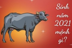 Sinh năm 2017 mệnh gì, tuổi con gì? Hợp màu nào, công việc gì?