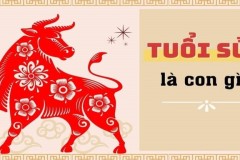 Sinh năm 2028 mệnh gì? Hợp màu sắc, công việc, hướng nào?