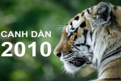 Sinh năm 2029 tuổi gì mệnh gì? Hợp màu nào, công việc gì?