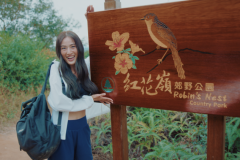 HKTB Launches “Four Corners of Hong Kong” Video Series Inviting Visitors to Explore the Four Points of the Compass in Hong Kong