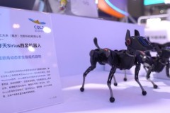 Các doanh nghiệp từ 39 quốc gia tham gia WCIFIT, với Thái Lan, Hồng Kông và Tứ Xuyên là tâm điểm