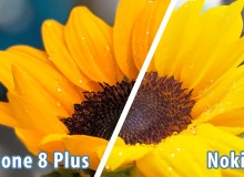 [So sánh] Nokia 8 vs. iPhone 8 Plus: Hiệu ứng làm mờ phông nền ảnh chụp