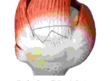 Smith+Nephew to feature leading rotator cuff repair portfolio including new Tendon Seam™ Repair System and REGENETEN◊ Bioinductive Implant at AAOS 2026