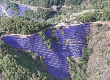 Risen Energy giành được đơn hàng mô-đun HJT 1,2GW từ China Huaneng Group, khẳng định vị thế dẫn đầu ngành