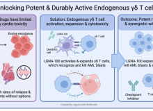 Laguna Announces FDA Clearance of IND Application for LGNA-100, a Novel γδ T Cell Activator for High-Risk Pediatric Leukemias