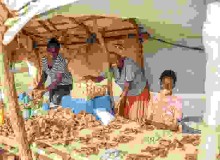 Pioneering evidence shows how entrepreneurship model can reduce extreme poverty among refugees