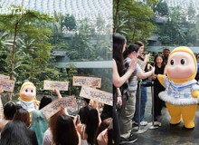 Twinkle Twinkle khởi đầu hành trình tại Đông Nam Á ở Singapore -- và quyết định gắn bó lâu dài