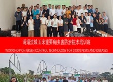 CCTV+: Hội thảo về Công nghệ phòng trừ xanh sâu bệnh hại ngô tại lưu vực sông Lan Thương - Mê Kông được tổ chức thành công tại Hà Nội, Việt Nam