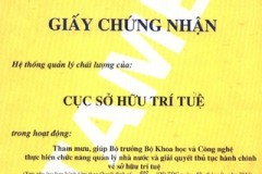 Cục Sở hữu trí tuệ được cấp giấy chứng nhận ISO 9001:2008
