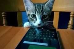 Microsoft tung video quảng cáo Lumia 930 gây sốt cộng đồng mạng