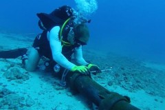 Cáp quang biển AAG bắt đầu được nối