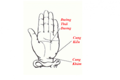 Xem chỉ tay tự mình bói tình yêu, công danh và tương lai