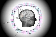 M&#225;y t&#237;nh đ&#227; c&#243; thể đọc được suy nghĩ con người gần như theo thời gian thực