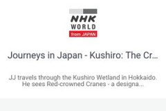 Hướng dẫn cắm hoa 8/3 đẹp lung linh trên điện thoại