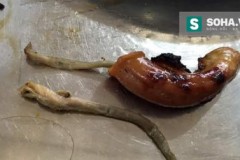 Vụ tố sán bò ra từ đĩa lòng nướng: Chủ nhà hàng phẫn nộ