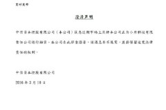 Giá trị cổ phần của Xiaomi năm 2016 là bao nhiêu?