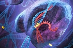 10 nghiên cứu công nghệ đột phá trong năm 2016