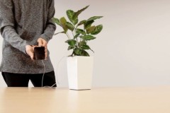 Ngỡ ngàng với phát minh mới sạc điện thoại bằng c&#226;y xanh