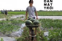 Hậu duệ mặt trời sẽ làm gì khi thất nghiệp ở Việt Nam?