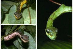 15 hình ảnh thiên nhiên tuyệt vời từ thế giới của chúng ta