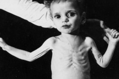 Những bệnh thường gặp khi nhiễm độc chì