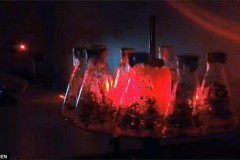 Tia laser của Nga sẽ cứu thế giới khỏi nạn đ&#243;i