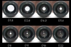 Bạn chọn khẩu độ lớn hay cảm biến lớn?