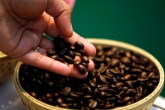 16 ngôn ngữ lập trình sẽ thay đổi thời vận của bạn trong năm 2016