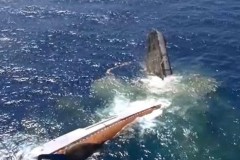 Thổ Nhĩ Kì phóng ngư lôi DM2A4 xẻ đôi tàu hộ tống TCG Zafer