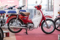 Chi tiết Cub 81 Taya - "huyền thoại" "bỗng" được hồi sinh sau nửa thế kỷ