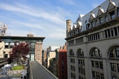 So sánh camera sau của OnePlus 3 và Samsung galaxy S7/S7 Edge