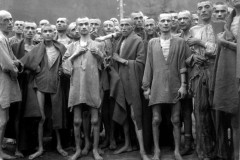 7 sự kiện bi thương nhất trong lịch sử nhân loại