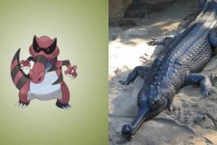 Khi các Pokemon “hiện nguyên hình” trong đời thật