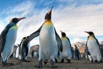 16 điều bạn nên chào tạm biết trước khi bước vào năm 2016!