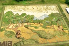 Nghệ sĩ vẽ tranh trên đất tuyệt đẹp