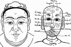 Nhìn hình dáng mũi, đoán khả năng "yêu" của cánh mày râu