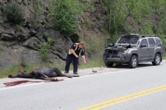 12 sự thực ít người biết đến về Canada