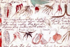 Bán một trong những cuốn sách bí ẩn nhất thế giới