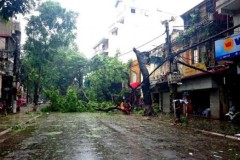 Bão và áp thấp nhiệt đới sẽ xuất hiện liên tục trong năm nay