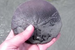 Cô gái tìm thấy 1 “đồng tiền” kỳ lạ, đến khi xoay mặt kia lại càng kỳ lạ hơn